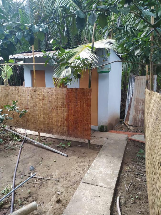 Mecong Homestay Ben Tre Bagian luar foto