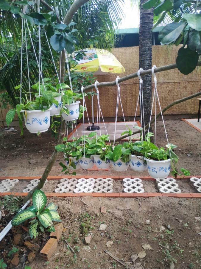 Mecong Homestay Ben Tre Bagian luar foto